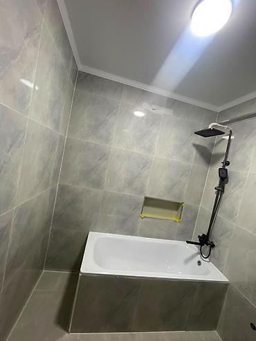 элитную: 1 комната, 45 м², Элитка, 10 этаж, Евроремонт — 3