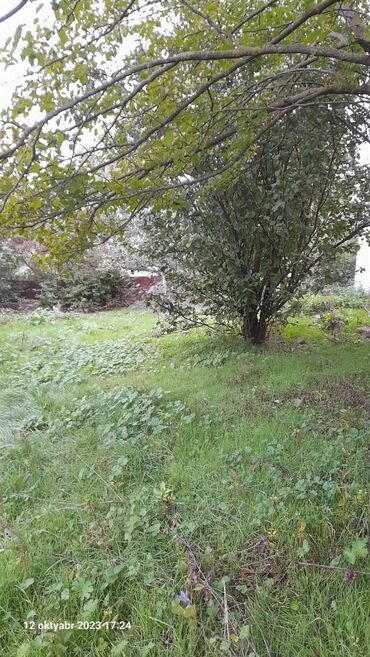 qaradağ rayonu sahil qəsəbəsində satılan evlər: 5 otaqlı, 200 kv. m, Kredit var, Təmirsiz