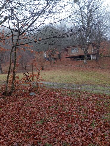 Restoran, kafelər: Masalli İsti su yaxin. 3 hektar ərazi 7 katej 6 bisetka. Tam islek -da lalafo.az — 8 Restoran, kafelər: Masalli İsti su yaxin. 3 hektar ərazi 7 katej 6 bisetka. Tam islek — 8