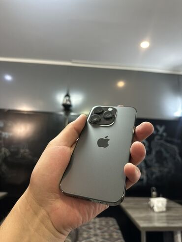 Apple iPhone: IPhone 14 Pro, Графит