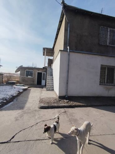дом ленинский район: Продаю Кошара, 190 соток, Действующий, Электричество, Скважина