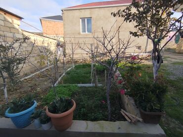 Həyət evləri və villaların satışı: 8 otaq, 340 kv. m, Kredit yoxdur, Yeni təmirli -da lalafo.az — 28 Həyət evləri və villaların satışı: 8 otaq, 340 kv. m, Kredit yoxdur, Yeni təmirli — 28