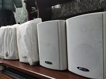 se electronics: Настенные акустические системы TEWA CW611 4 штуки - Тип: пассивные — 1