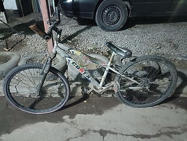 transporter multivan: Горный велосипед Corex (24) - Рама: стальная, классическая геометрия — 1