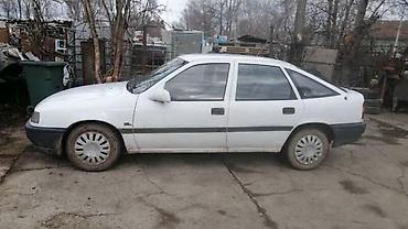 kengur krusevac: OPEL VECTRA A - KOMPLETAN AUTO U DELOVIMA | Opel Vectra A 89-92 1.6 — 3