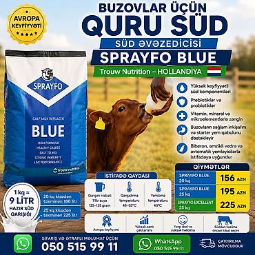 qaz ve ordek satisi: Buzovlar üçün quru süd – Sprayfo Blue | 20 kq – 156 AZN 🇳🇱 SPRAYFO — 1