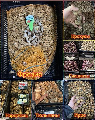 Организация мероприятий: Организация мероприятий | Букеты, флористика — 21