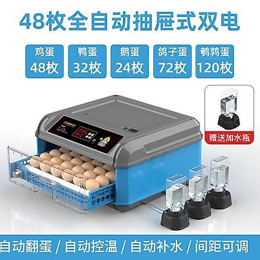 Инкубаторы: Инкубатор для яиц, полностью автоматический, «двойное питание» — 7