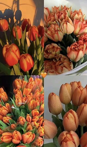 Цветы и букеты: ТЮЛЬПАНЫ ТЮЛЬПАНЫ ТЮЛЬПАНЫ на 8 марта. Бронь - Палитра: ярко‑желтые — 9