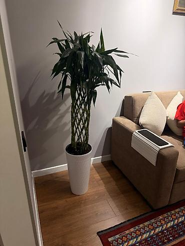 Продажа квартир: 3 комнаты, 85 м², Элитка, 13 этаж, Дизайнерский ремонт — 14