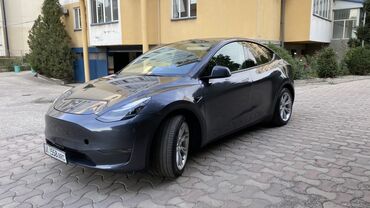 Tesla: Tesla Model Y: 2023 г., Автомат, Электромобиль, Кроссовер — 2