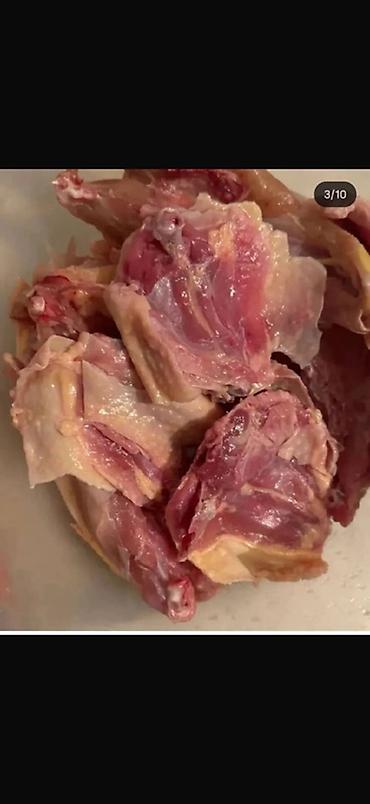 чистка курей: Домашняя курица ( ощипанная, желтокожая) Халяль! Оптом и в розницу — 4