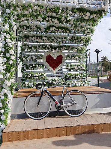 обувь из войлока: Трековый фикс-байк LOW (fixed gear) - Рама и вилка: алюминий — 2
