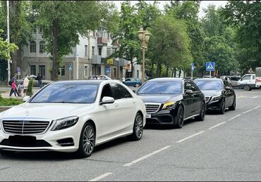 vip bichkek: Сдаю в аренду: Легковое авто | Mercedes-Benz