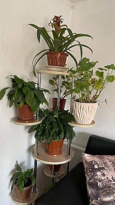 Продажа коттеджей и домов: Продаётся дом г.Кара-Балта ул Гагарина Цена договорная или обмен — 12