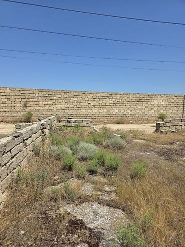 Torpaq: 4 sot, Kupça (Çıxarış) — 3