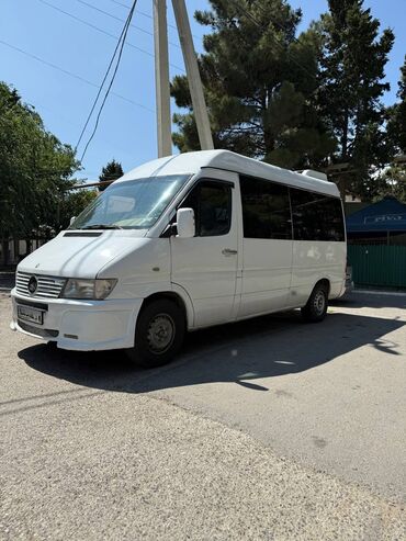 Mercedes-Benz: Mercedes-Benz mikroavtobus - Korpus: Uzadılmış və yüksək tavanlı — 2