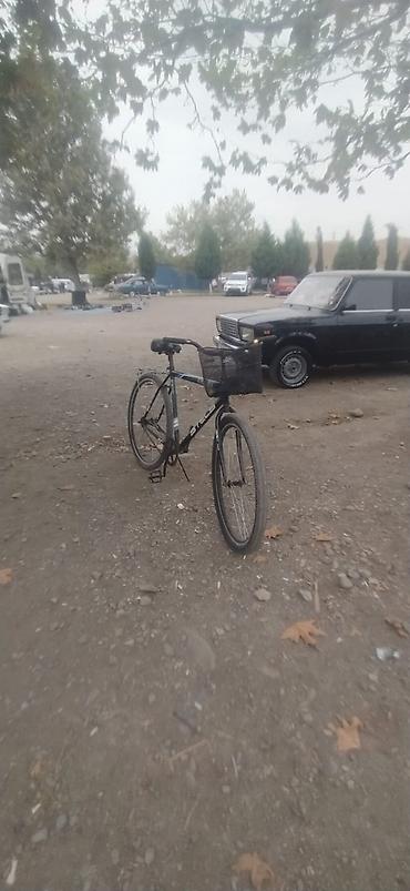 velesobed: Şəhər/komfort velosipedi - Rəng: qara, mavi-qümüş detallarla - — 3
