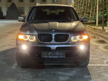 BMW: BMW X5: 2006 г., 3 л, Типтроник, Дизель, Внедорожник