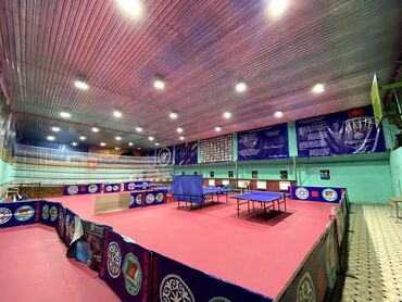 Настольные игры: Клуб Настольного тенниса Qasym 6м высота потолков 5 столов Покрытие