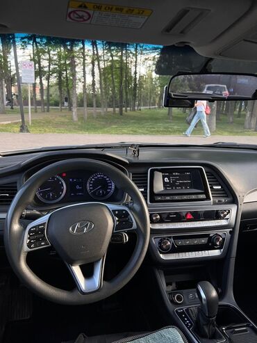 стрижка кошек на дому: Сдается sonata new rise 1800сом в сутки,депозит 20.000