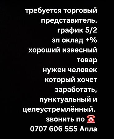 Продавцы-консультанты: Вакансия: торговый представитель - График: 5/2 - Оплата: оклад + — 1