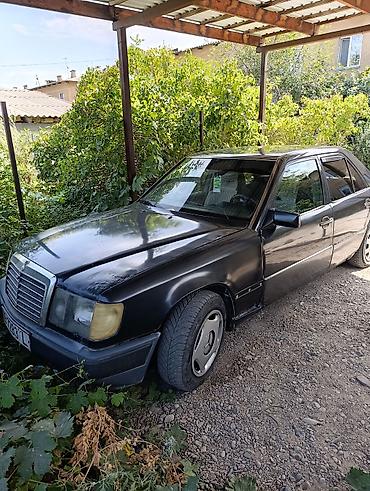 меерс 124: Mercedes-Benz W124: 1990 г., 2.3 л, Механика, Бензин, Седан — 2
