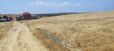 fatmai: 8 sot, Tikinti, Mülkiyyətçi, Kupça (Çıxarış) — 2