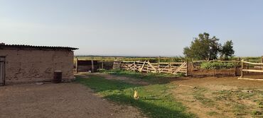 Сельхоз предприятия: Продается Кашара Фермерское- хозяйство с действующим бизнесом и с — 13