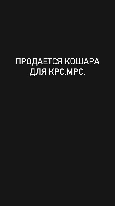 готовый бизнес аксессуар: Сатам Кой короо, Иштеп жаткан, Жабдуулары менен