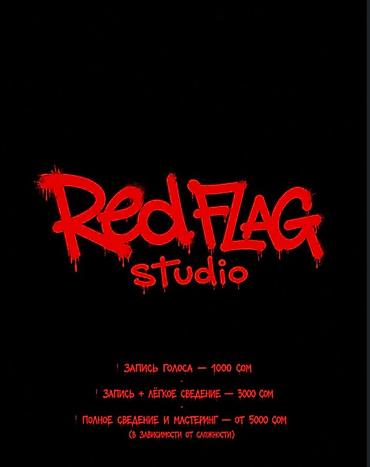 fl studio: Студия звукозаписи Red Flag Studio Уютная акустически обработанная — 3