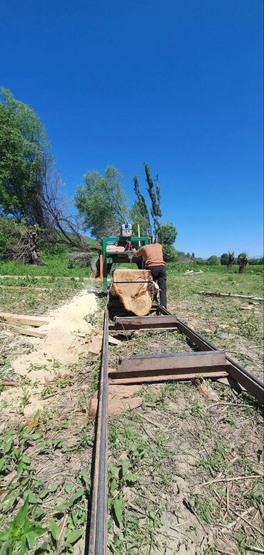 Распиловочные станки: Распиловочный станок без ЧПУ, Ленточный — 6