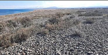 Продажа участков: 200 соток, Договор купли-продажи, Красная книга — 7