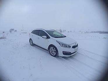Kia: Kia Ceed: 2018 г., 1.6 л, Автомат, Бензин, Хэтчбэк — 13