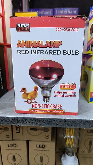 ANIMALAMP Qırmızı İnfraqırmızı Lampa - Gərginlik: 220–230 V - Tip at lalafo.az — 3 ANIMALAMP Qırmızı İnfraqırmızı Lampa - Gərginlik: 220–230 V - Tip — 3