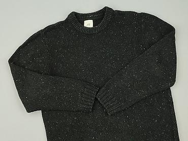 sweter panterka hm: H&M L.O.G.G., Sweter dla mężczyzn, rozmiar M — 1