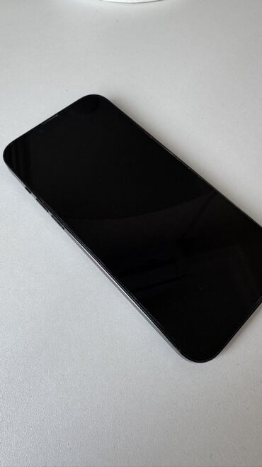 Telefon üçün stabilizatorlar: IPhone 13 Pro, Alpine Green, Face ID