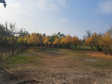 Həyət evləri və villaların satışı: 🏡 Satılır: 2 mərtəbəli həyət evi – Ağsu rayonu, Ərəbmehdibəy kəndi 📍 — 11