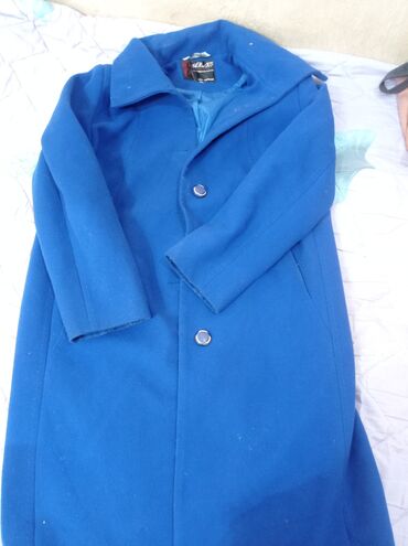 пиджак голубой: Пальто, Зима, По колено