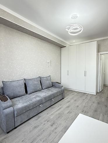 14: 1 комната, 42 м², Элитка, 8 этаж, Евроремонт — 9