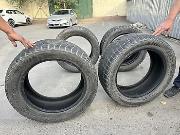 шина лабо: Комплект зимних шин Yokohama Geolandar I/T-S (4 шт.) - Тип: зимние — 3