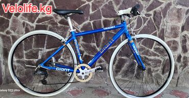 чехол на xs: Велосипед Giant xs,
Размер колесо 28,
Рама Алюминиевая