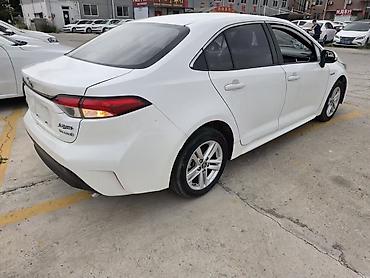 leopard 3: Toyota Levin: 2023 г., Гибрид, Седан — 1