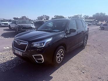 Subaru: Subaru Forester: 2020 г., 2.5 л, Вариатор, Бензин, Кроссовер — 2