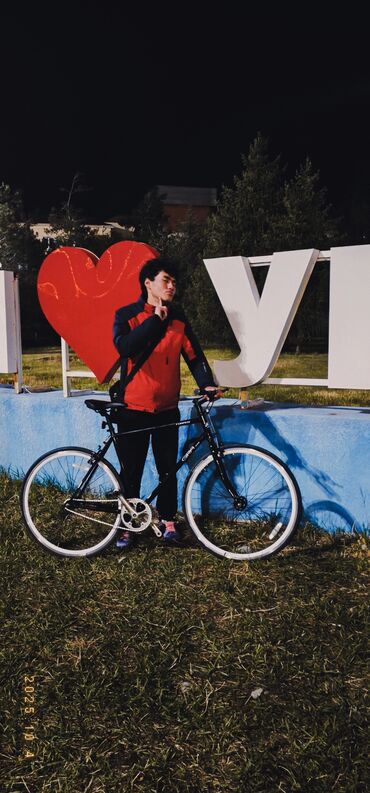 Городские велосипеды: Городской велосипед, Рама L (172 - 185 см), Новый — 6