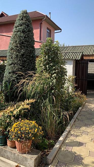 Продажа коттеджей и домов: Продаю Особняк Участок 4 сотки Документы : Красная книга, тех — 20