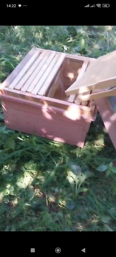 Arı yeşikləri: Arı pətəyi (taxta korpus) - Material: qalın taxta lövhələrdən — 9