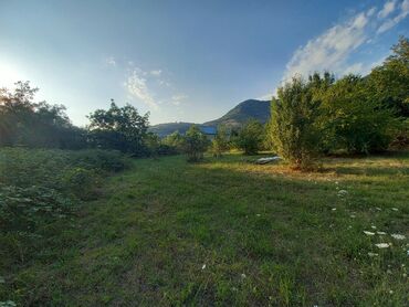 Torpaq sahələrinin satışı: 10 sot, Tikinti, Mülkiyyətçi, Kupça (Çıxarış) — 2