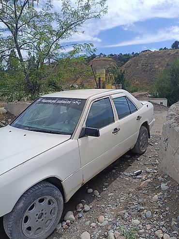 Транспорт: Mercedes-Benz 190: 1990 г., 2.9 л, Дизель, Седан — 1