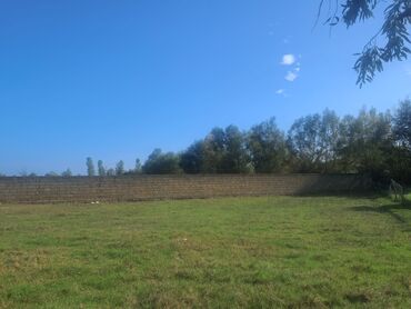 Torpaq sahələrinin satışı: Tikinti — 7